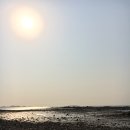 설렘카페 - 홍성군 충남대로 50 | 설렘카페