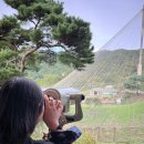 유동물원 이미지