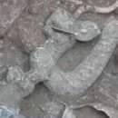 사천 고고학발견 : 삼성퇴에서 용두호뇌 청동기가 출토되었습니다! 이미지