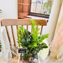 신월동196 이미지