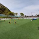 한국펫고등학교 이미지