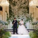 빅트리(Bigtree) 이미지