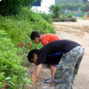 대양 (태권도) 이미지