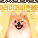 키다리아저씨 동물병원 이미지