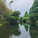 솜반내(솜반천) 이미지