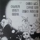 칼리프(CALIF) 네이버블로그