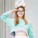 가호 Daum카페