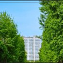 씨유나눔평택자이점 | 평택점집 신점 상담으로 풀어낸 직장 내 구설과 텃새