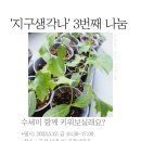 주민모임지원사업 &#39;지구생각나&#39; 3번째 나눔 ＜수세미 모종 나눔＞ 이미지