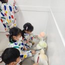 나엘리키즈룸 이미지