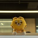 국가대표PC방 | 젠지GGX I 롤아시안게임, 롤국가대표, 캐니언 국대, GGX후기
