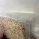 대원진공열처리 | 가정용 진공포장기 추천 휴고스 냉장고 정리 후기