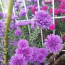 한림정역 이미지