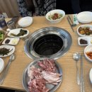 착한복돼지