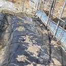 부산농장 이미지