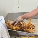현대만석인삼사