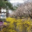 개나리펜션 이미지