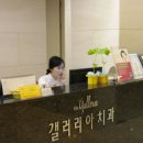 더갤러리아치과의원 네이버블로그