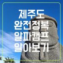 올레원 스테이 | [공지] 제주 알파캠프 한눈에 자세히 보기 (완전정복)