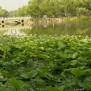 아름다운 산장 이미지