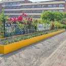 운동초교 이미지