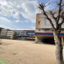 서울등촌초등학교 이미지