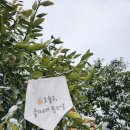 하얀나라 깨끗한세상 이미지