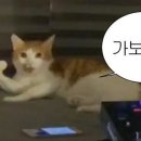 얌 - 양평군 시민로 6 | 얌