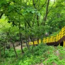 김천물소리생태숲_#1 이미지