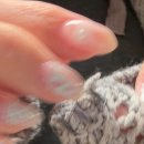 blue-net | ★코이세이오 26ss 후기★