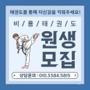 경희대 석사 비룡 태권도 이미지