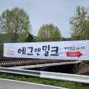 양지교 | 홍천카페 디저트맛집 에그앤밀크 또 방문한 이유