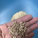 백세밀영농조합법인 이미지