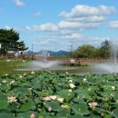 들성생태공원 이미지