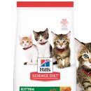 키튼코리아 이미지