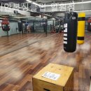 코리안복싱클럽 일원점 이미지