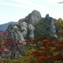 6단지사거리(8단지) 이미지