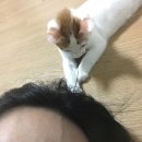 중앙동155 이미지