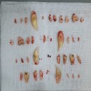 닥터코기동물병원 이미지