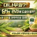 대나무잎, 왜 당뇨 관리에 도움이 될까? 기능과 성분을 과학적으로 정리 이미지