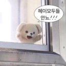 뉴팡팡 노래연습장 | [일상] 벚꽃이 피면~🌸