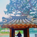 환산정 | 전남 화순 가볼만한곳 제11경 환산정 서성저수지