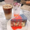 틀니쟁이 이미지