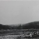 병환농장 이미지