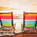 라임나무 이미지