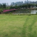 시민공원 이미지