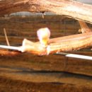 광일농장 이미지