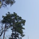 남산공원 이미지