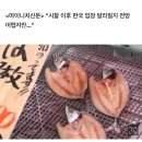 일본이 시찰단 받은 이유? "수산물 수입금지 해제 작업" 이미지