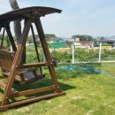 와이드 농장 이미지